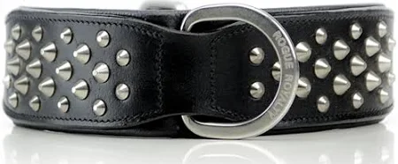 Shiny Black Dog Collar
